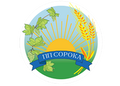 FOP Soroka Igor Fedorovich